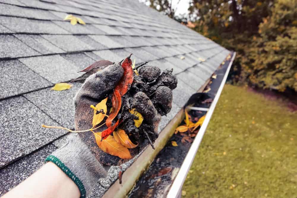 A gloved hand holds a clump of wet leaves and debris that was removed from a house gutter. The gutter is partially filled with more leaves, and the sloped gray shingle roof and a grassy yard with trees are visible in the background.